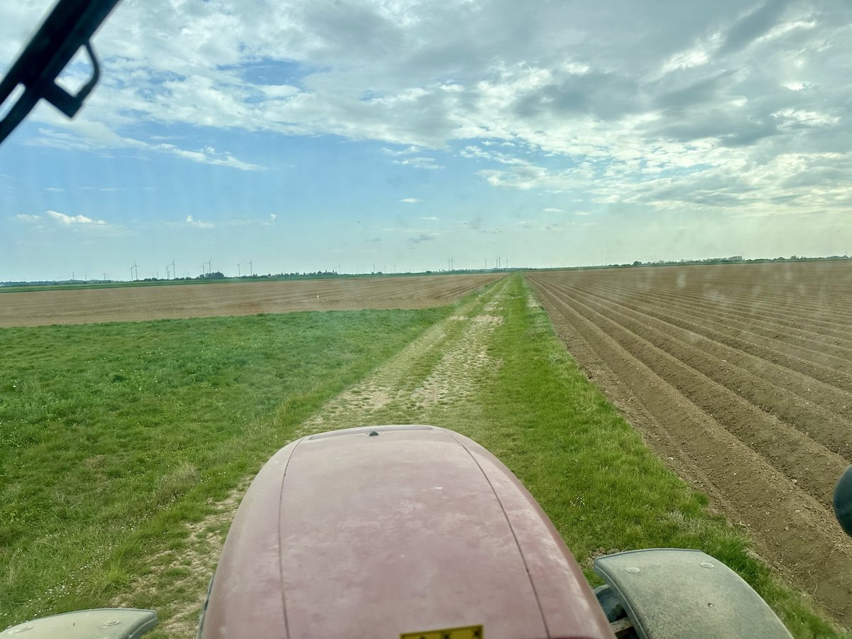Romain Bigeault #Farmingrom tweet media