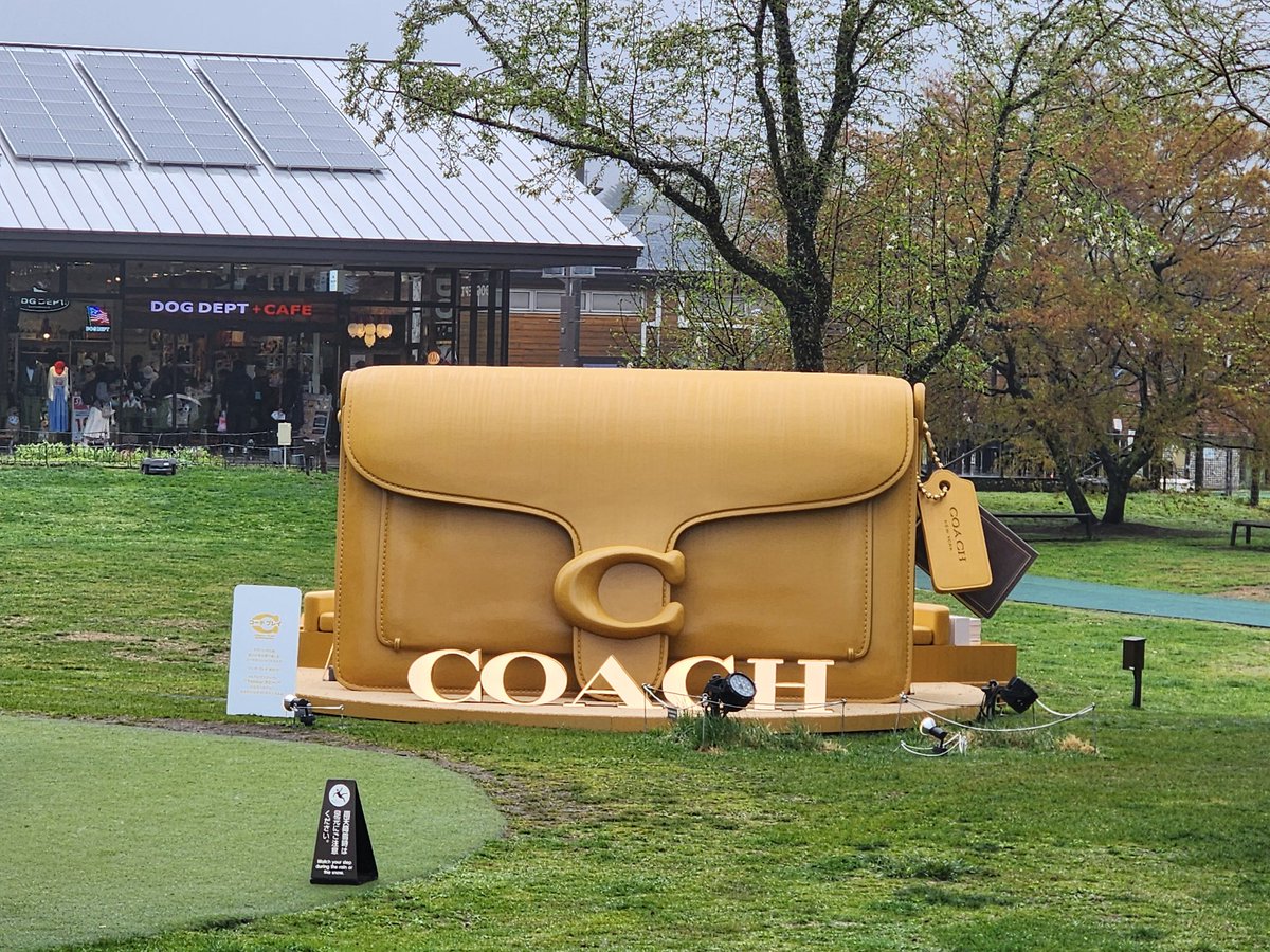 NZaXkTJVfS6CaU8's tweet image. 軽井沢のアウトレットでGET✨
#COACH