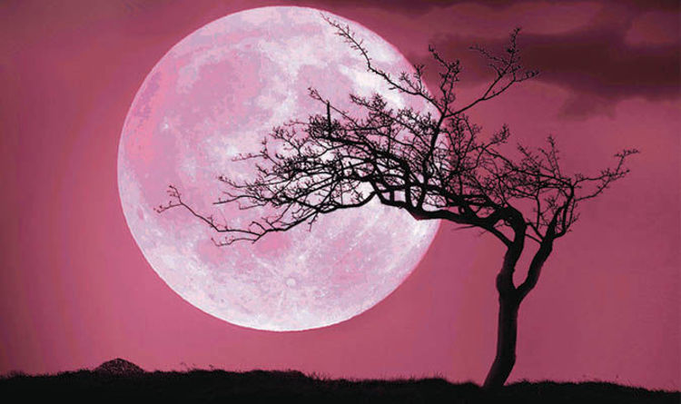 moondailys's tweet photo. https://t.co/5JNMICw3tw
