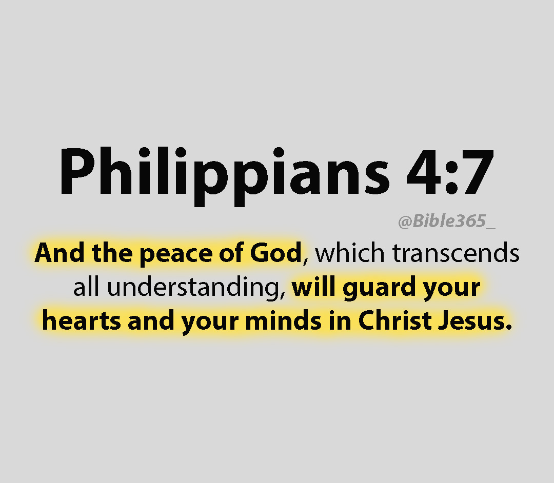 Bible 365 tweet media
