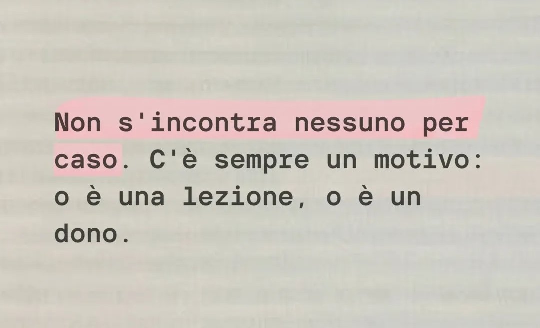 Bisogna solo cogliere l'attimo 🖤