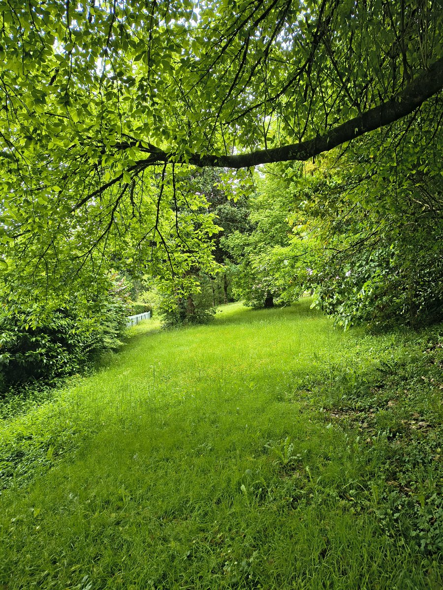 I love all the way green.