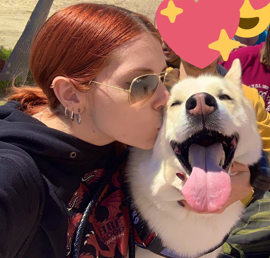 Shady_Abyss's tweet photo. Mi vida, Altaïr, no fue un solo perro, fue mi salvador y mi única fuente de apego seguro casi la mitad de mi vida. 

Porque cuando el abismo me estaba tragando,
cuando todo dentro de mí se rompía en silencio,
no fui yo quien alzó el escudo.
Fuiste tú.

Tú te quedaste frente al…. https://t.co/NxXFvho637