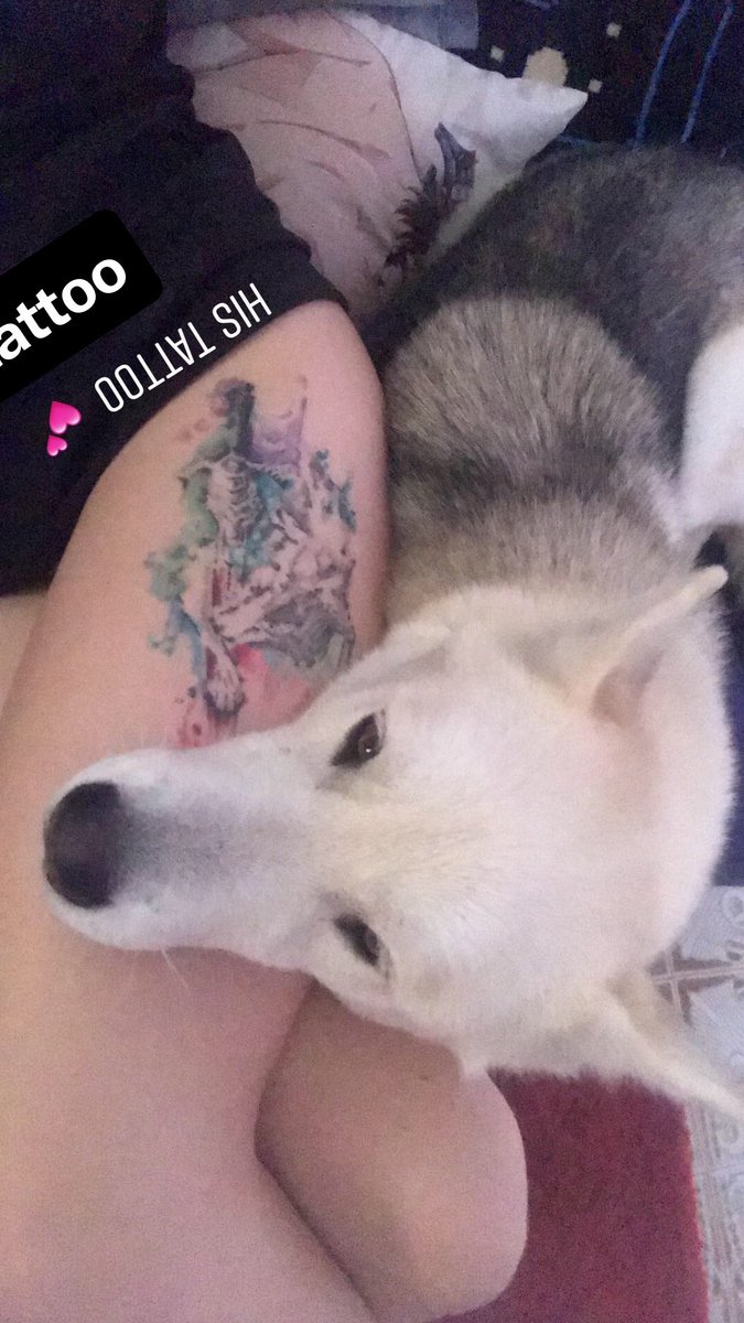 Shady_Abyss's tweet photo. Mi vida, Altaïr, no fue un solo perro, fue mi salvador y mi única fuente de apego seguro casi la mitad de mi vida. 

Porque cuando el abismo me estaba tragando,
cuando todo dentro de mí se rompía en silencio,
no fui yo quien alzó el escudo.
Fuiste tú.

Tú te quedaste frente al…. https://t.co/NxXFvho637