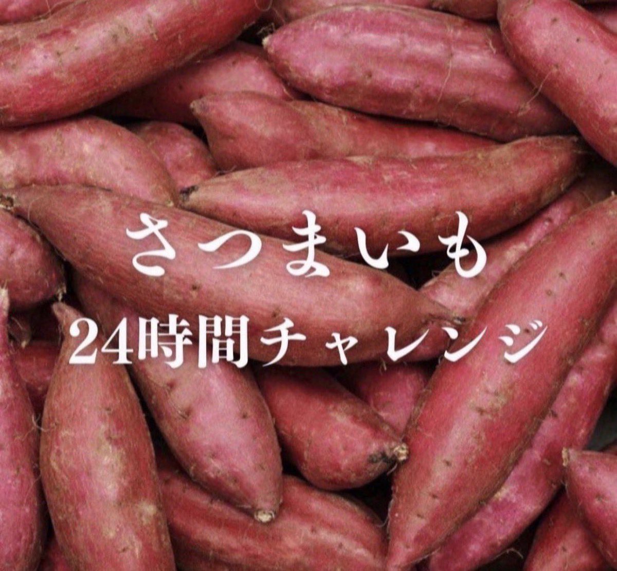 とろ蜜物語 tweet media