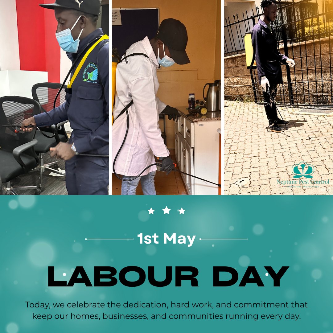 NeptunePest's tweet photo. Happy Labour Day 

Today, we celebrate the hard work and dedication that keeps our homes, businesses, and communities running every day.

To all workers—your effort matters.

From all of us at Neptune Pest Control https://t.co/QUT9Q5NEfP