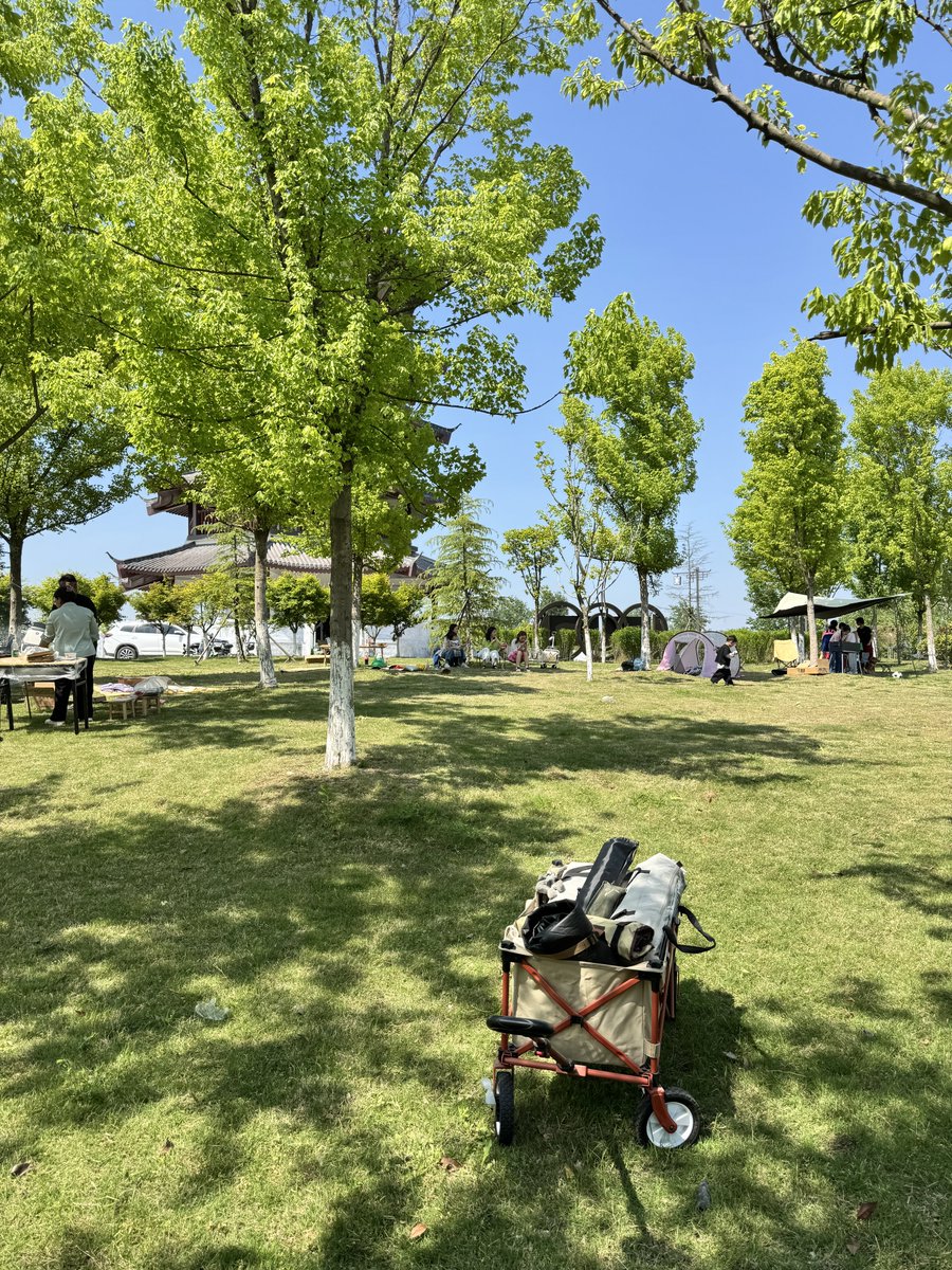 猿子 tweet media