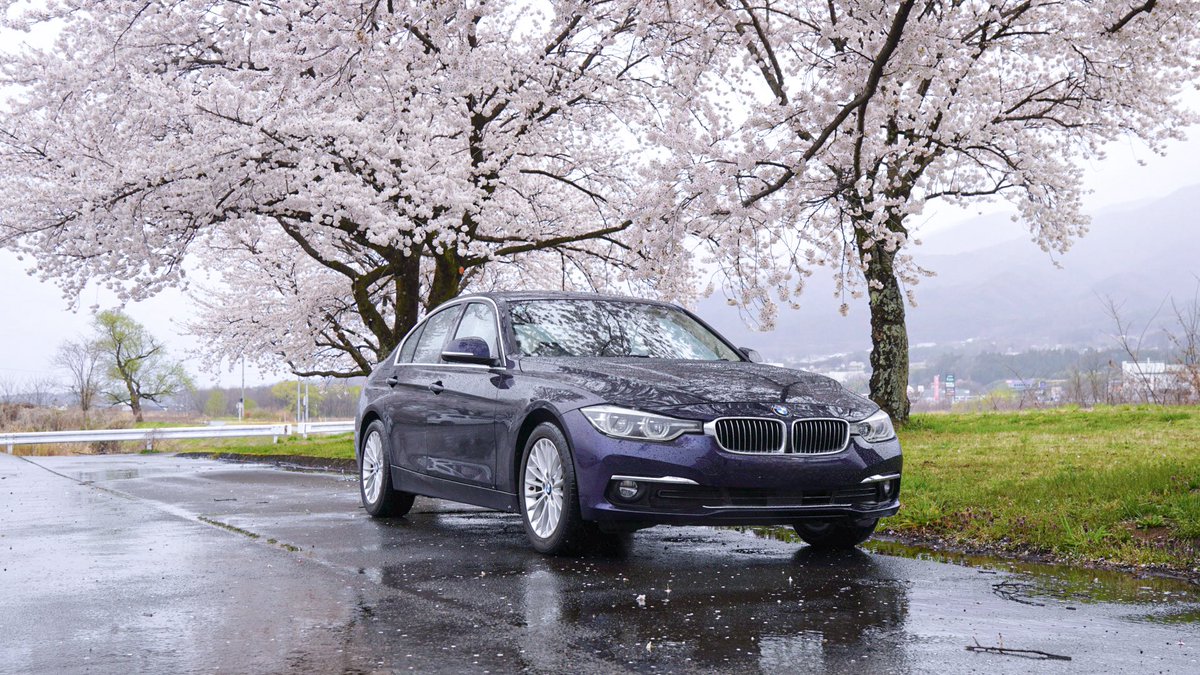sho____86's tweet photo. ご報告
この度、bmw f30 320i luxury買いました！
ちょっとずつ弄りながら乗っていきたいなと思いますのでこれからもよろしくお願い致します🙇‍♂️ https://t.co/DlmuN7m8t8