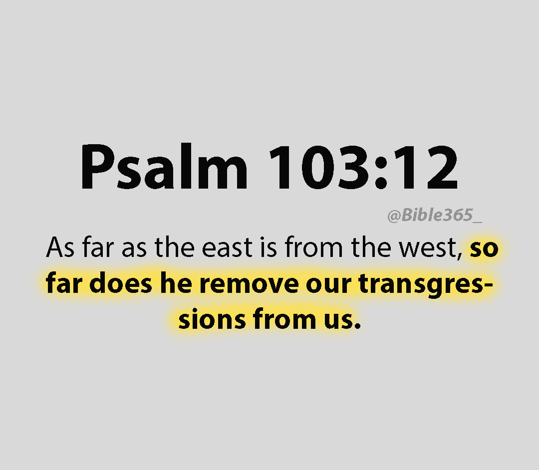 Bible 365 tweet media