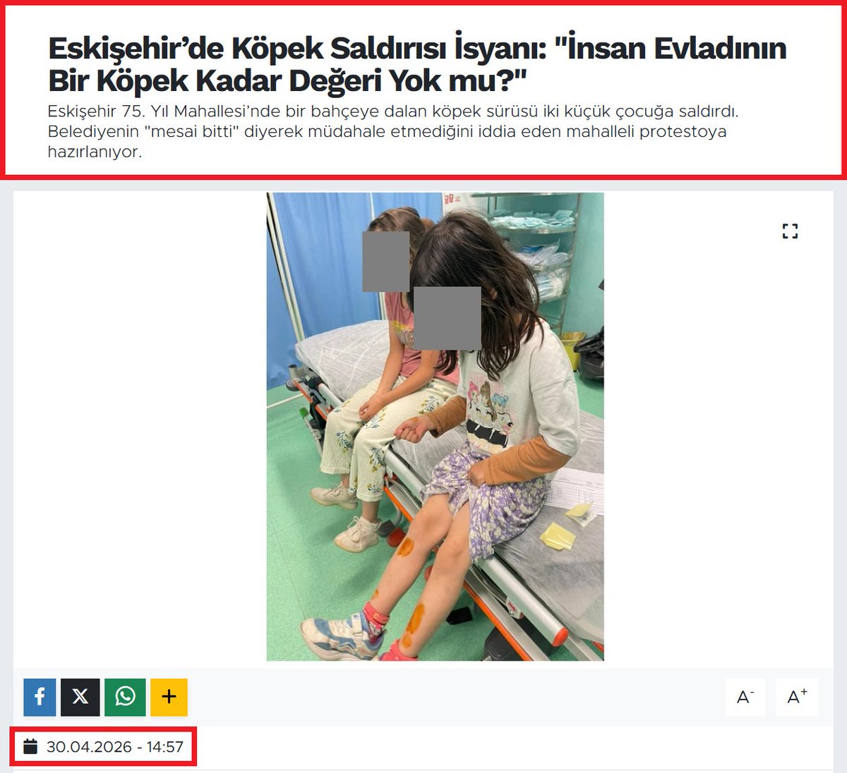 Prof.Dr. Nilüfer Sabuncuoğlu tweet media