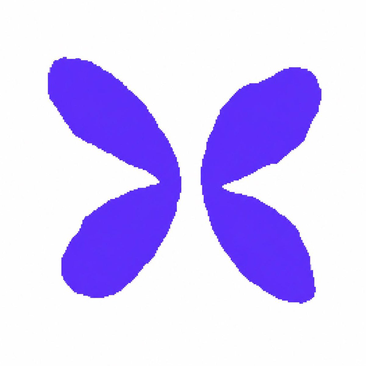 Flap 🦋 tweet media