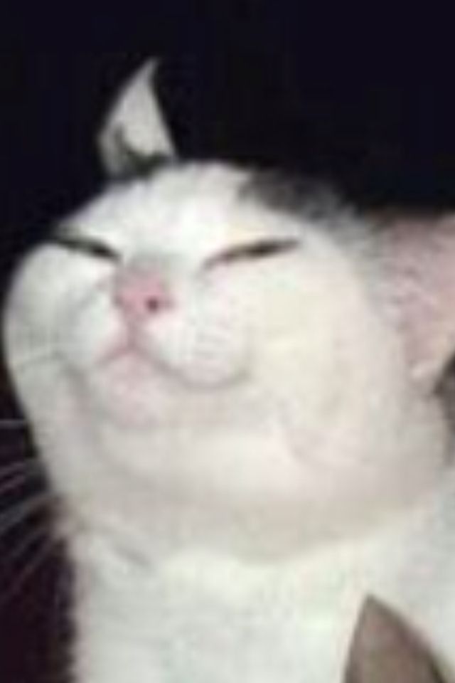 heavenlycurses's tweet photo. yall see it https://t.co/Mm4HtaAWFw