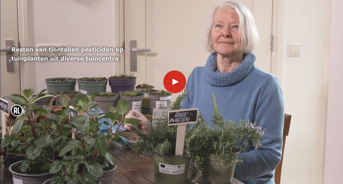 boppinmule's tweet photo. Resten van tientallen pesticiden op tuinplanten uit diverse tuincentra 🇳🇱 #voorjaar #insecten #landbouwgif #Intratuin https://t.co/JQFE7rzzmm https://t.co/9g8R2pMH1D