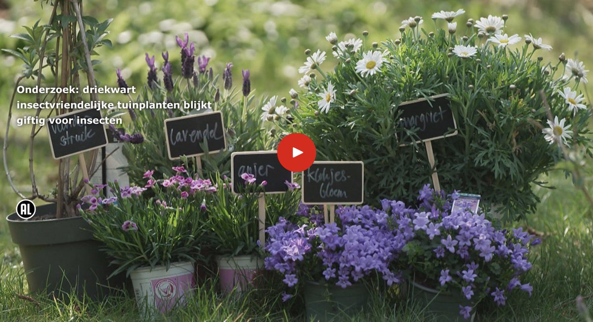 boppinmule's tweet photo. Resten van tientallen pesticiden op tuinplanten uit diverse tuincentra 🇳🇱 #voorjaar #insecten #landbouwgif #Intratuin https://t.co/JQFE7rzzmm https://t.co/9g8R2pMH1D