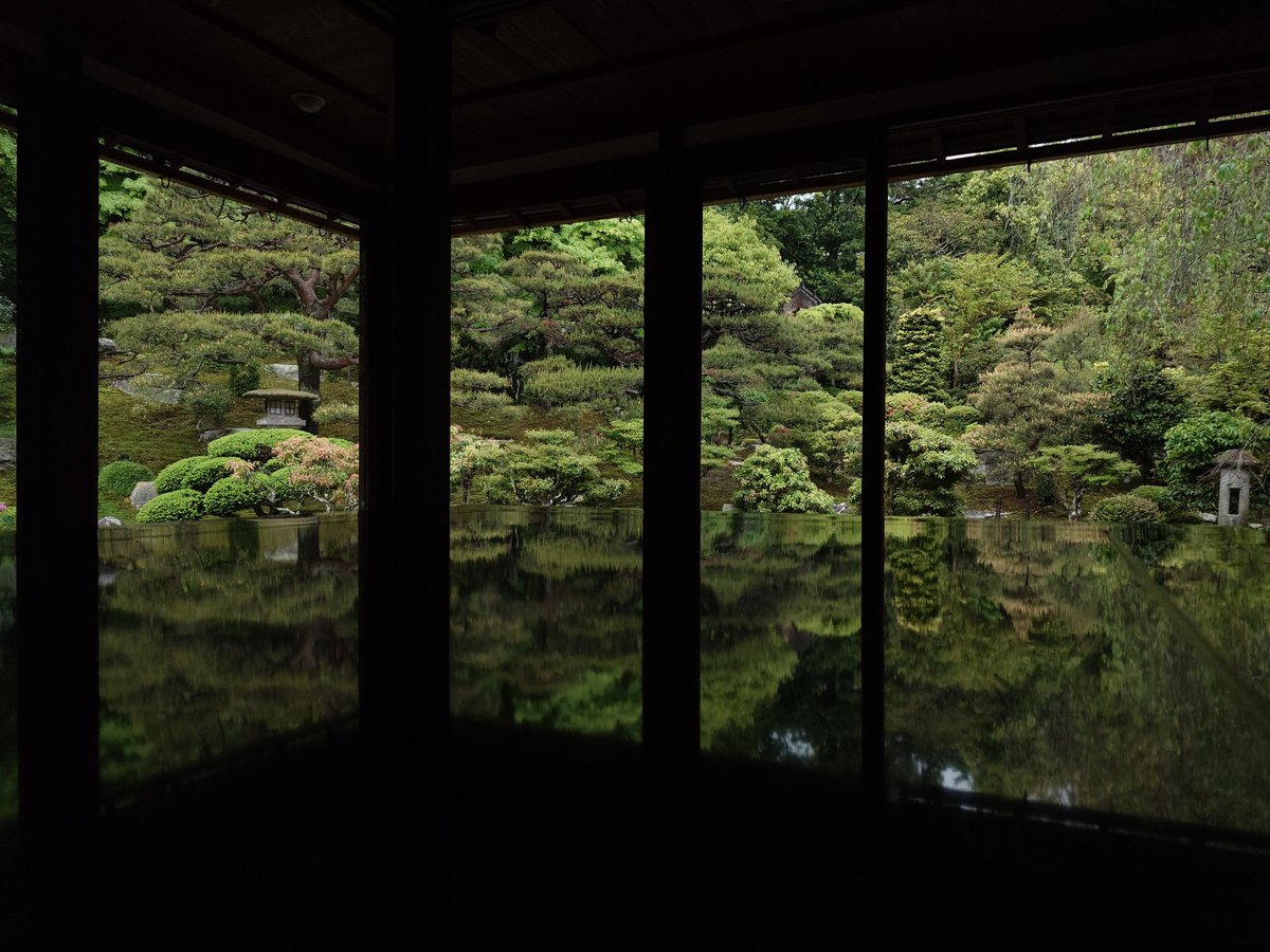 mej8X7V3v0YRy0B's tweet photo. 旧竹林院。
暫し緑に癒される🌳✨🌳
オリジナルブレンド珈琲THE旧竹林院☕頂きました😋
#hellootsu #旧竹リフレ https://t.co/lJ9wmLvFZJ