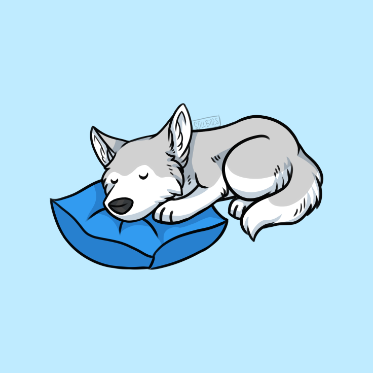 stillbitesink's tweet photo. When your kid asks you to draw his favourite toy (a husky beanie baby), you have to deliver!

Four poses, one very satisfied small person. 🐾❤️

-
#furryart #chibiart #husky #digitalart https://t.co/traSp5pQV2