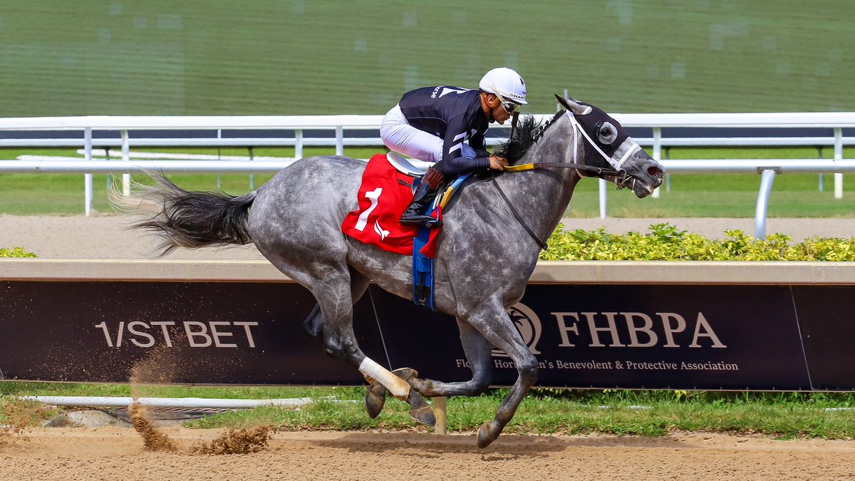 SaffieJosephJr's tweet photo. Caldera returned after more than a year off and captured the victory in an Allowance Optional Claiming $25,000, stopping the clock at 1:37.53 for one mile. Ridden by Nik Juarez and trained by Saffie Joseph Jr. for owner MyRacehorse.

#GulfstreamPark | #RoyalPalmMeet https://t.co/350qv0bIba