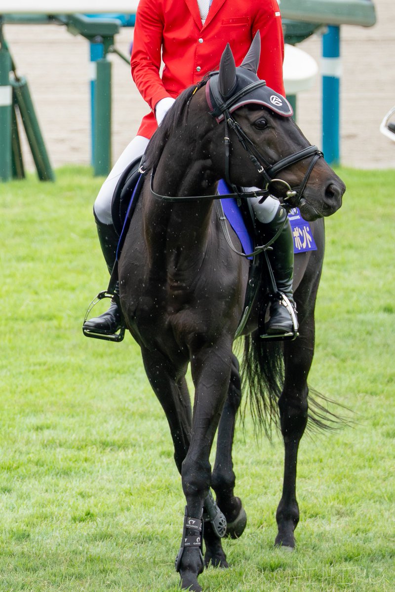 chihiro🐴 tweet media