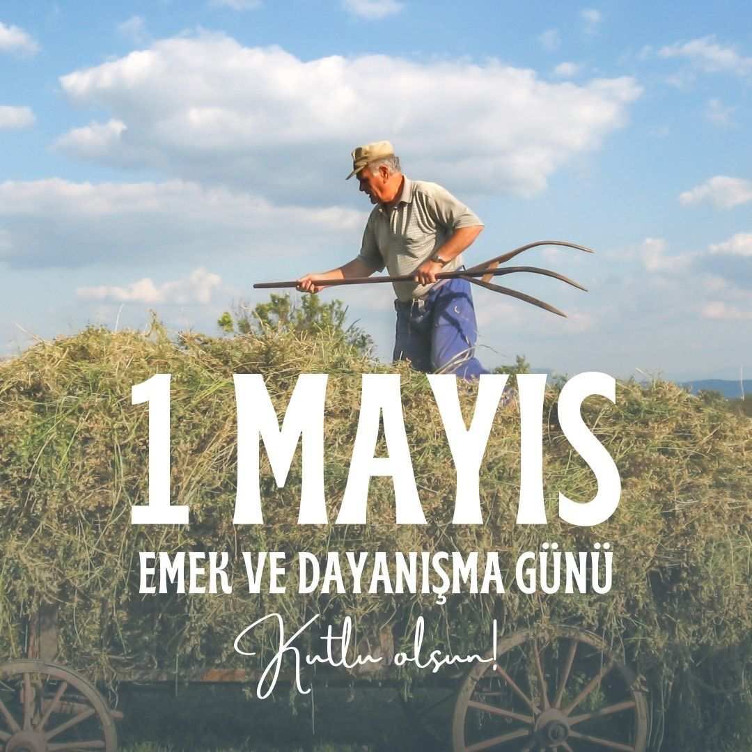 Mustafa Yavuz tweet media