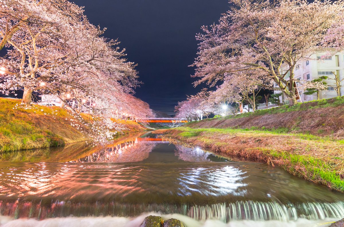 blaugelp's tweet photo. あっという間に5月だ
4月は桜たくさん撮れて満足だったし
5月も何か撮りに行きたい所存 https://t.co/KyjemtXD2b