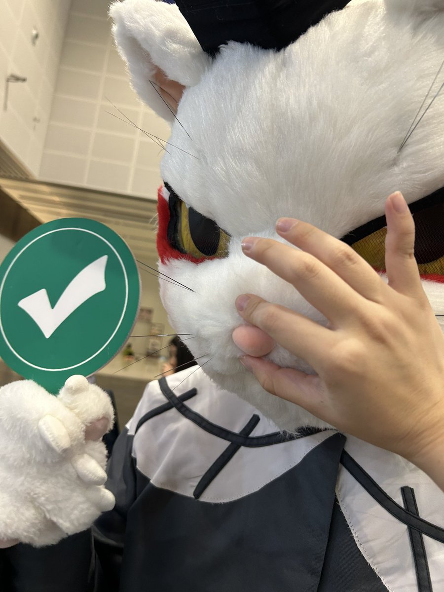 小鸡批发 tweet media