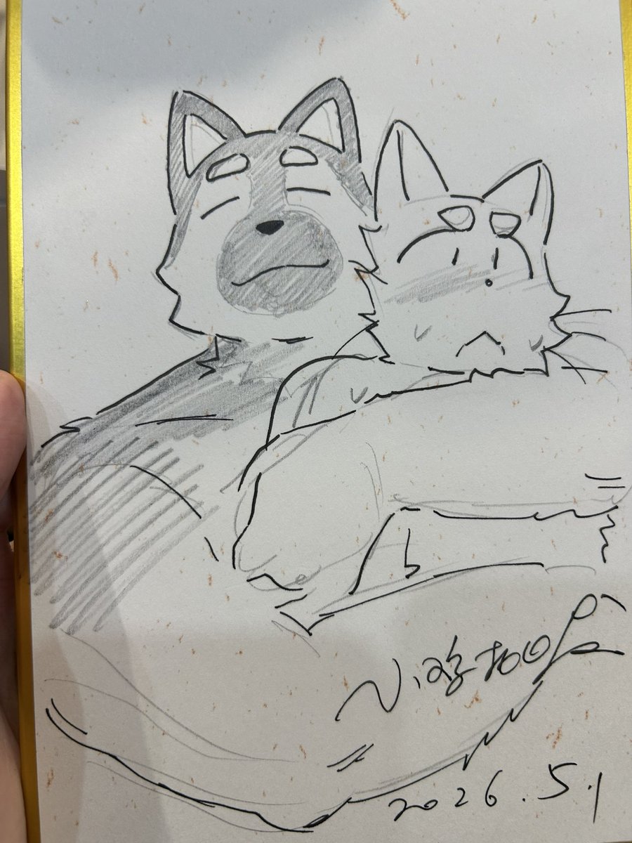 小鸡批发 tweet media