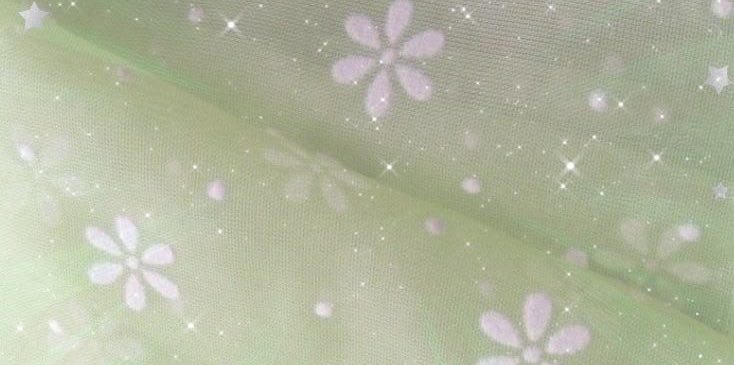 chp ⭑.ᐟ tweet media