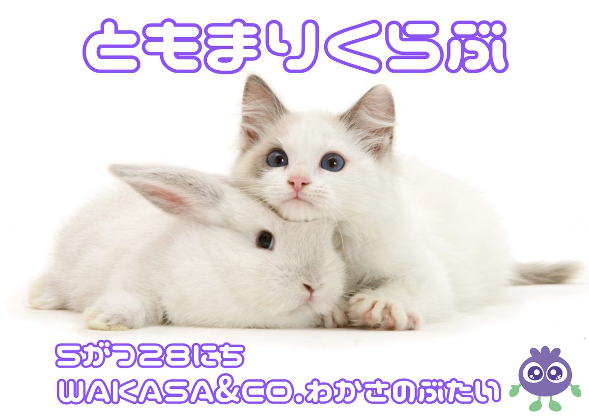 0.1gの誤算official tweet media