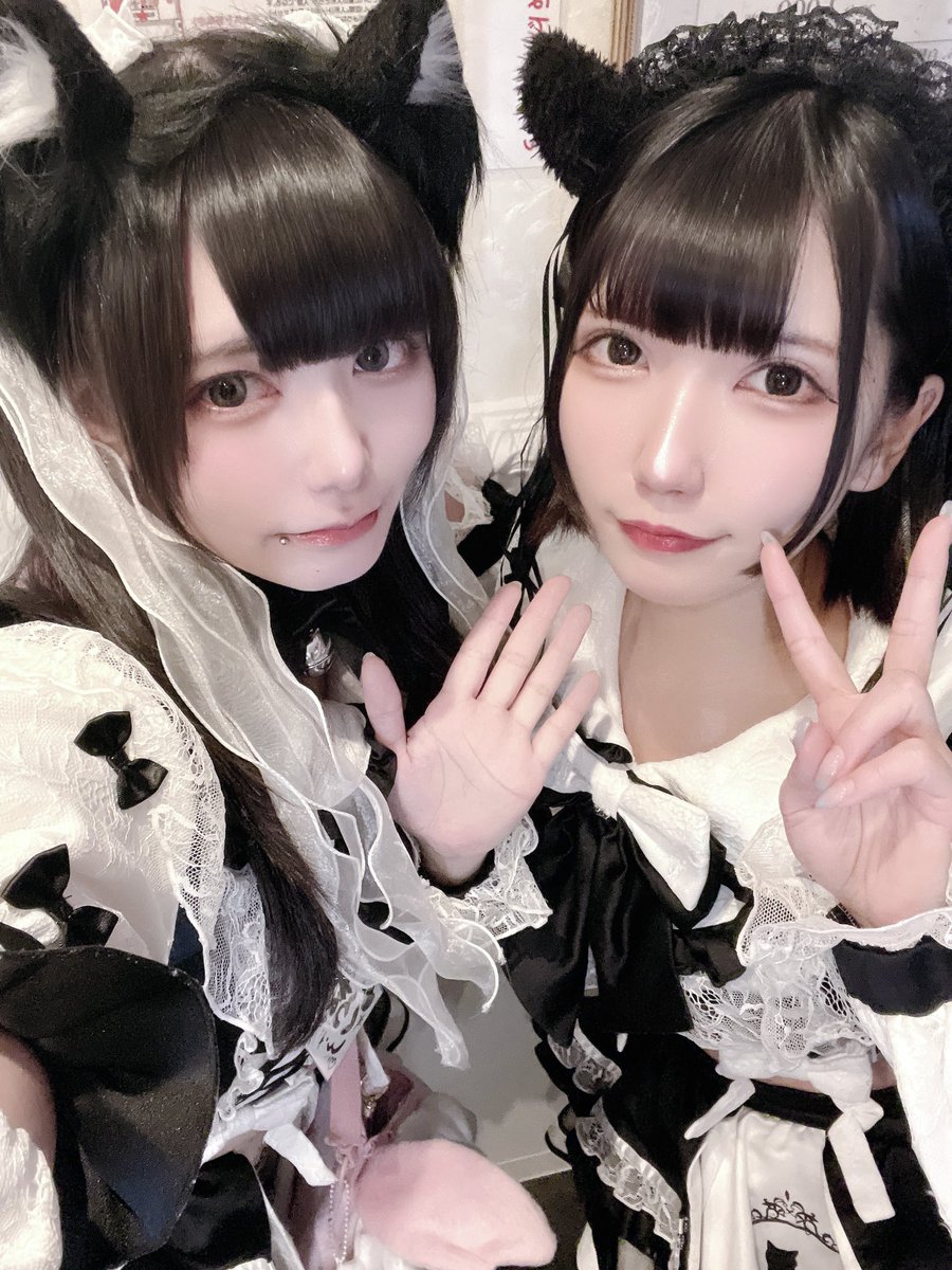 くろまめ🐈‍⬛@Dolly Cats (@kuromame_dolly) / Posts / X