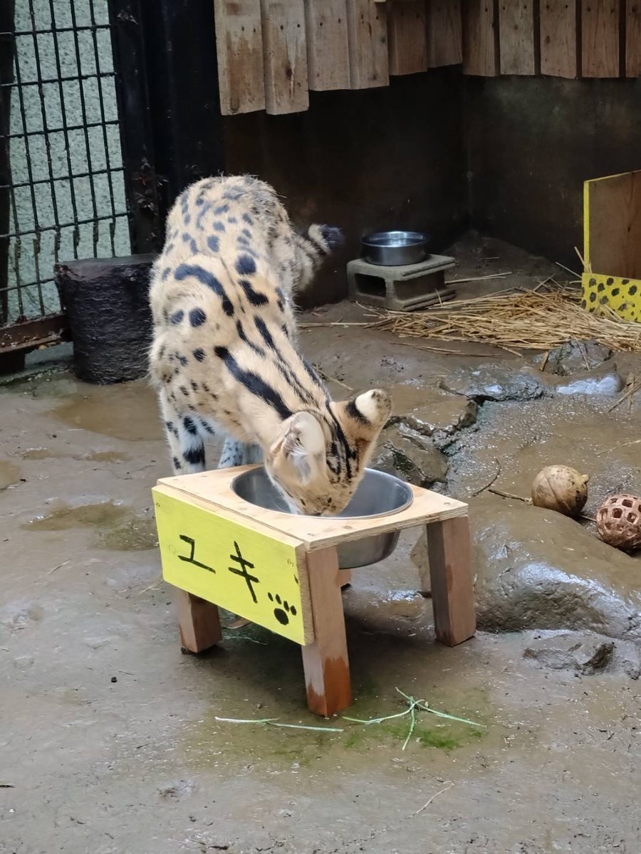 ヒノトントンZOO（羽村市動物公園） tweet media