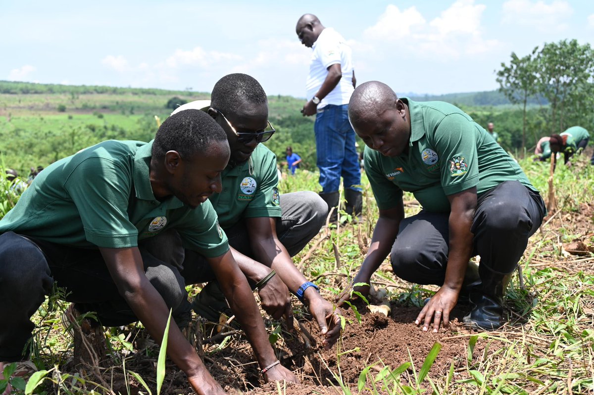 AronAoja's tweet image. Happy Labour day to all the great stewards of the environment.We cherish your efforts towards environmental conservation for a better planet.
#LabourDay 
#Conservation