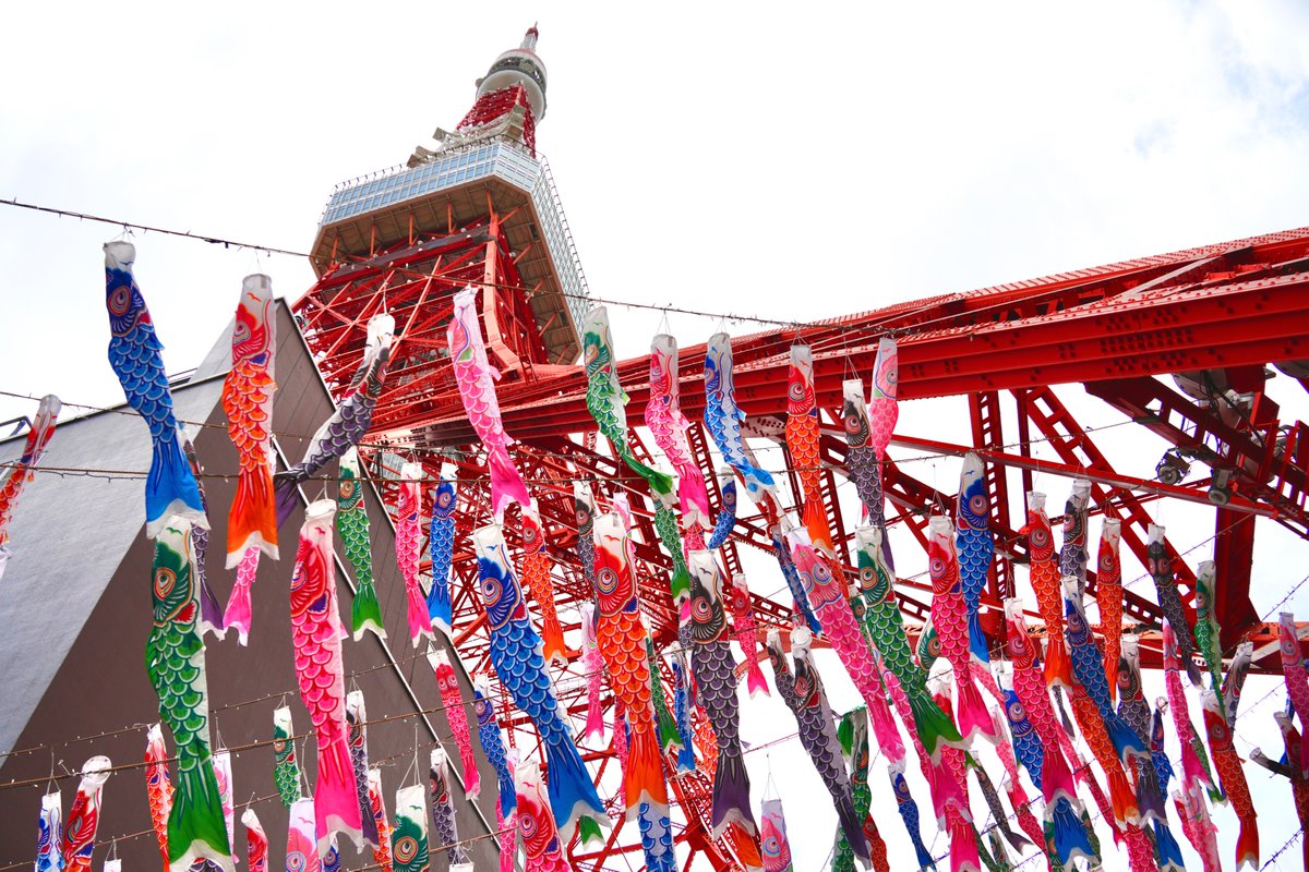 東京都港区【公式】 tweet media