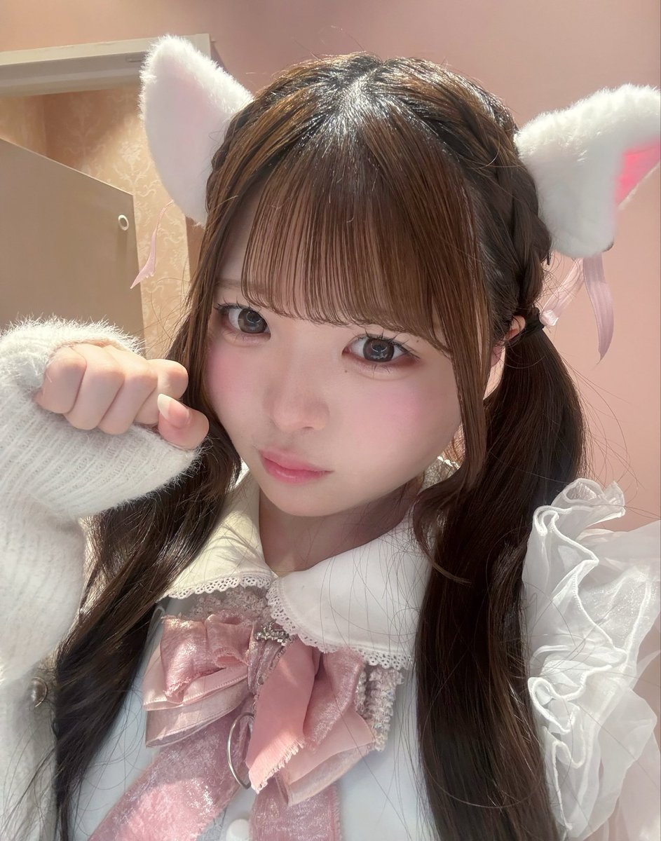 Post by にゃも on X: 猫カフェいきたい