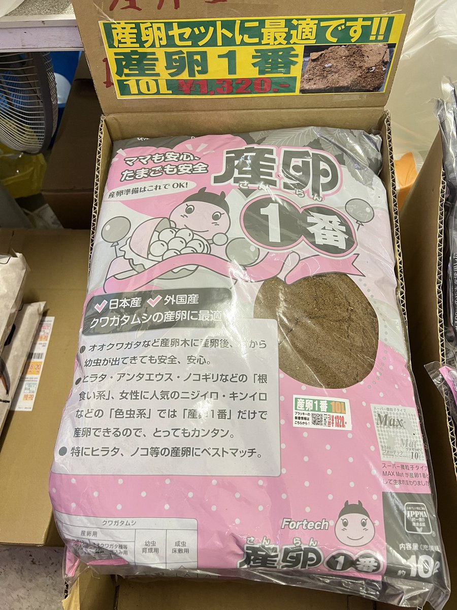 ブラッキー　クワカブ専門店 tweet media