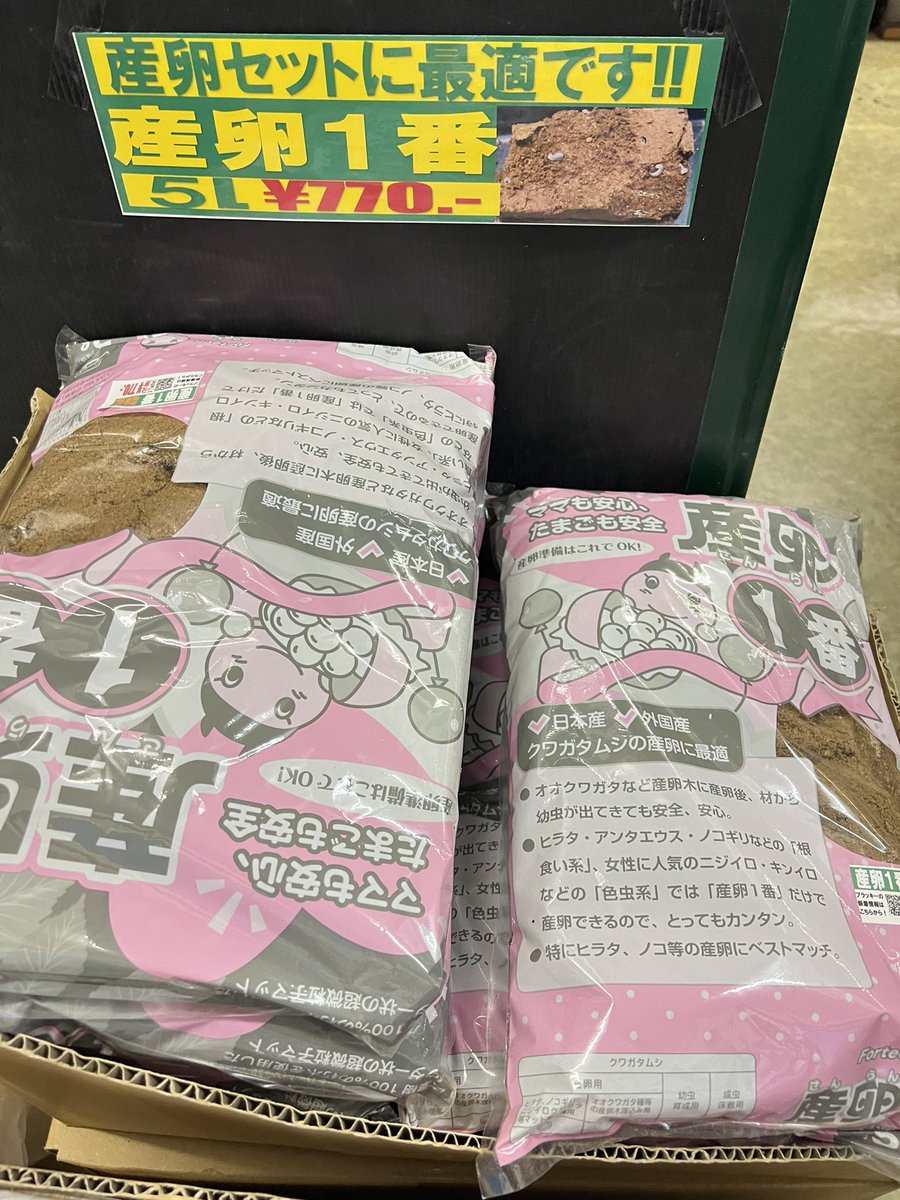 ブラッキー　クワカブ専門店 tweet media