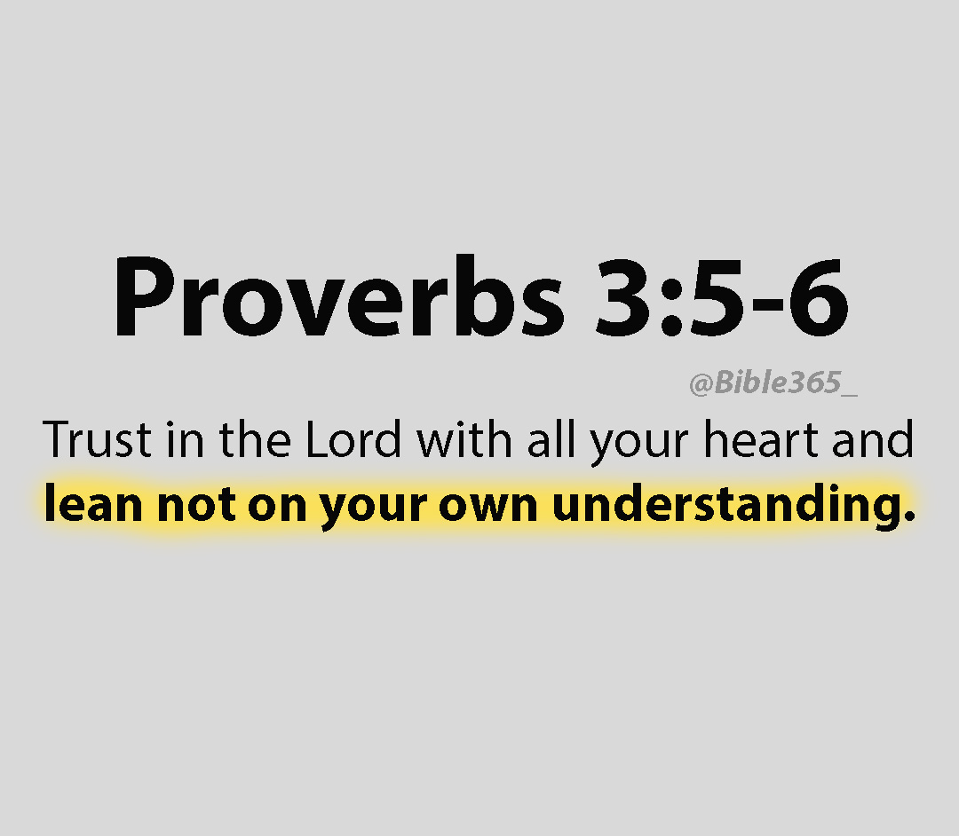 Bible 365 tweet media