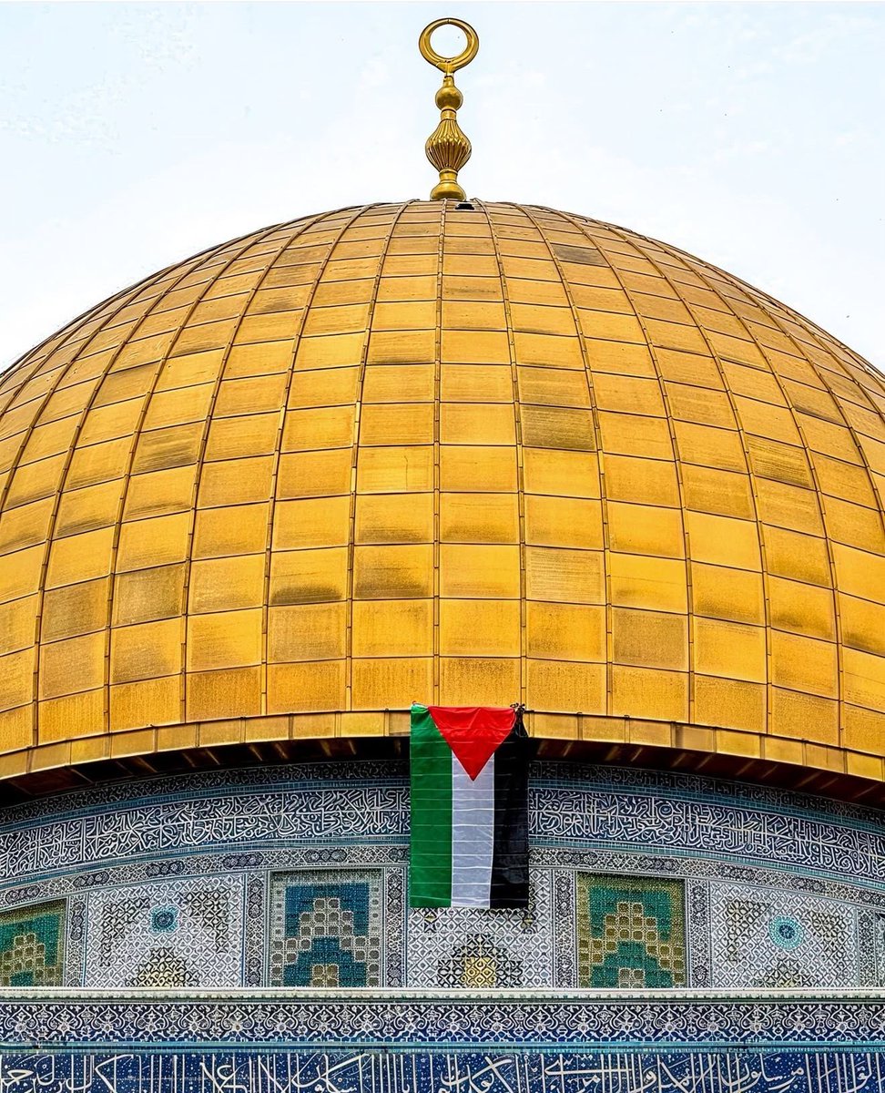 Dr. Yousef 🇵🇸 tweet media