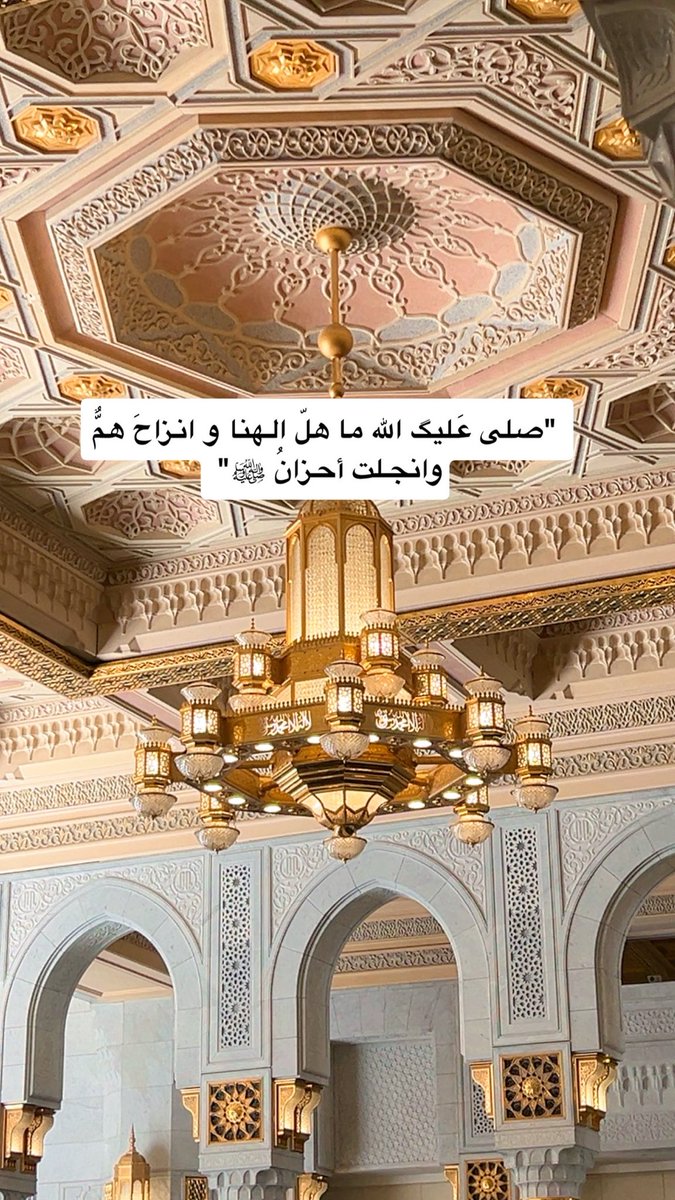 🪾 خَرِيْف 🪾 tweet media