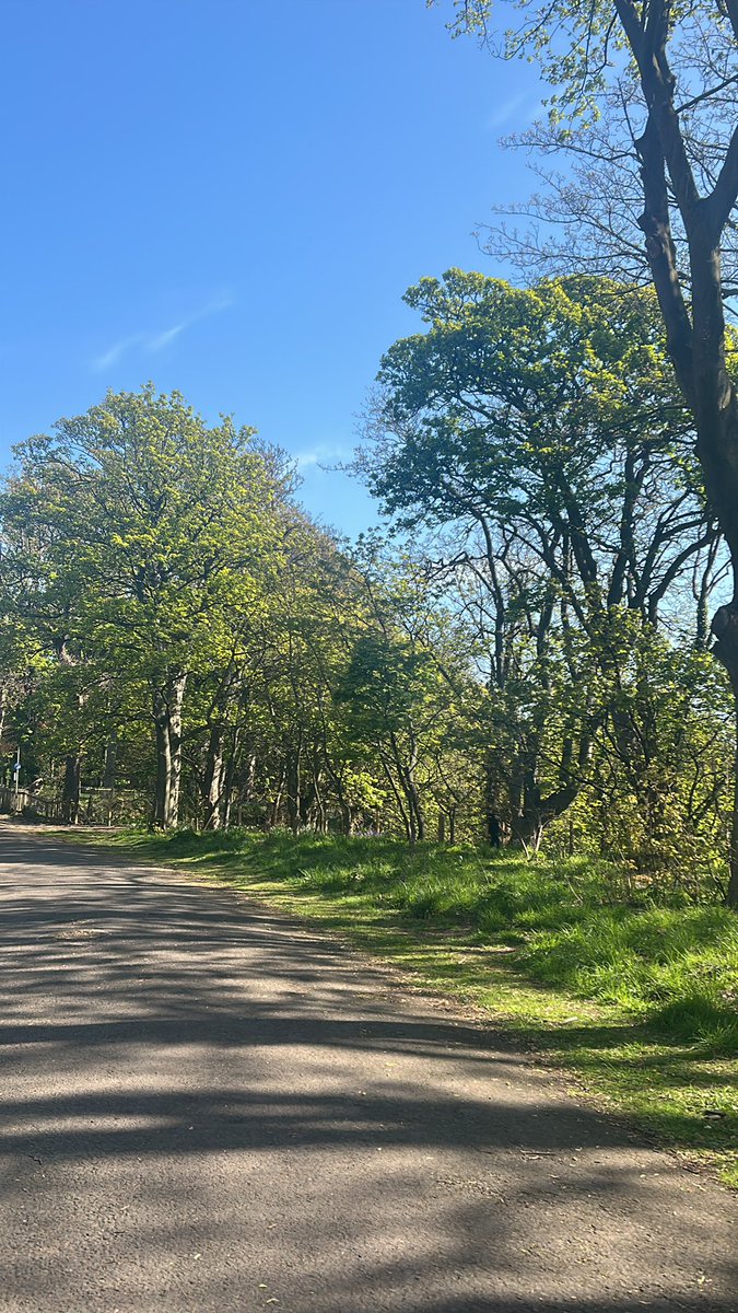 _EmmaDuncan_'s tweet photo. Appreciating the beauty of Fife before I bring you all of its local news this afternoon. Anyone else heading on a walk to enjoy the sunshine? https://t.co/VHgUCBdf3q