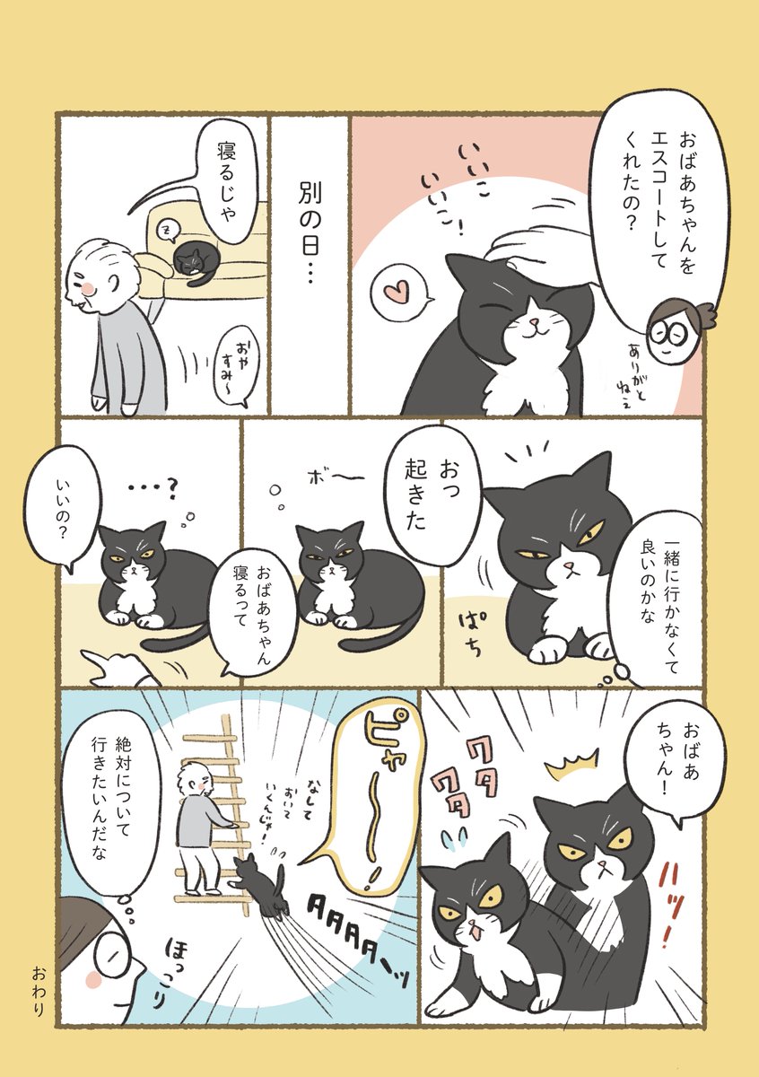 ふじもりはる🎄バナクロチャ tweet media