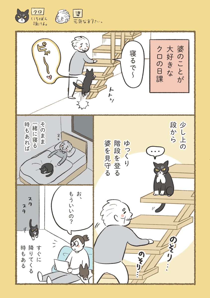 ふじもりはる🎄バナクロチャ tweet media