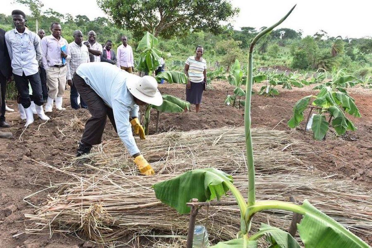 President Yoweri Museveni calls on the youth to reject joblessness and instead embrace skills training, agriculture, and innovation as viable paths to success. #WhyUgDecidedM7 #M7SwearsIn2026 #LabourDay