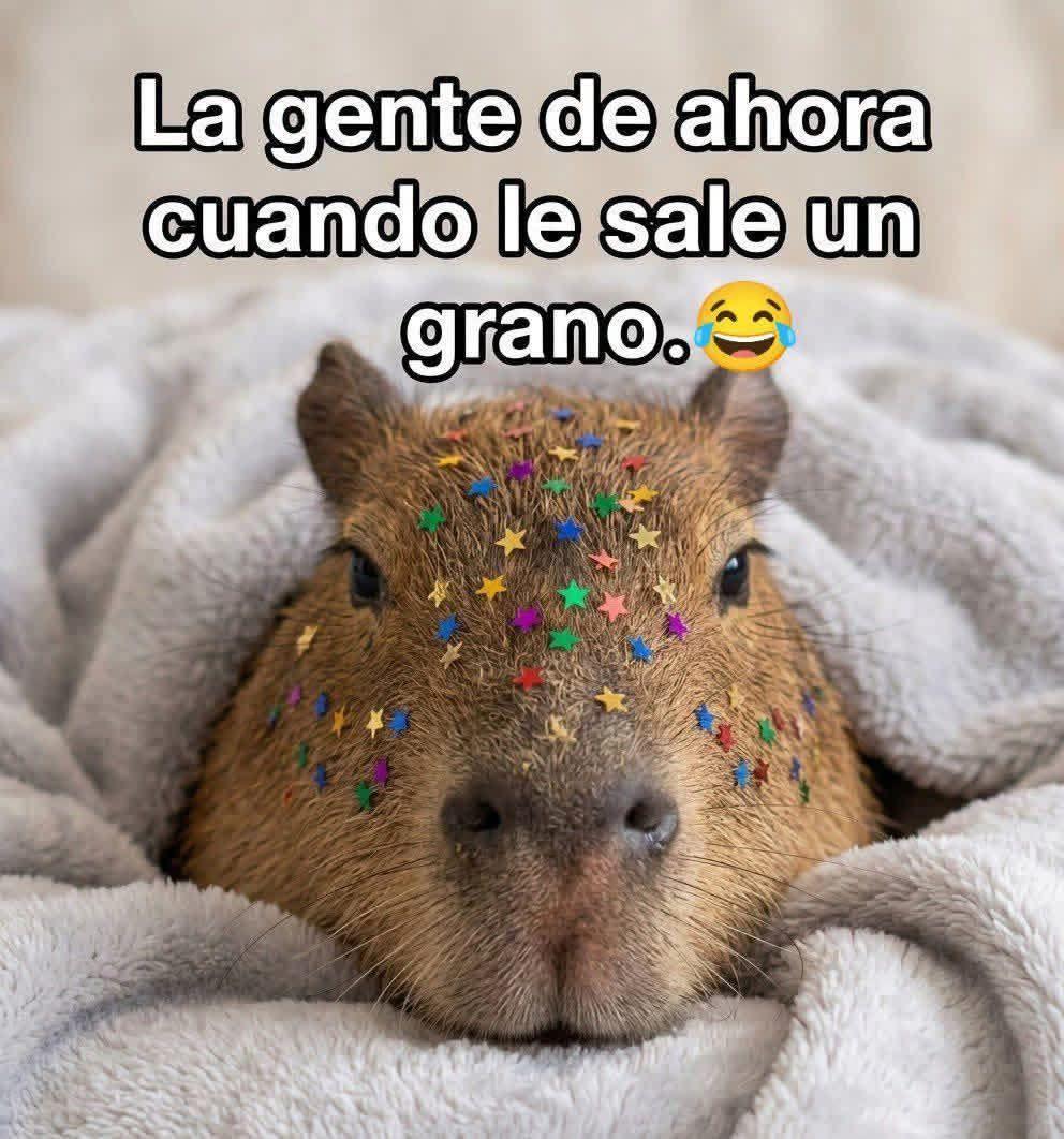 DiminutaNerea's tweet photo. https://t.co/Q8nQvHXcPo
