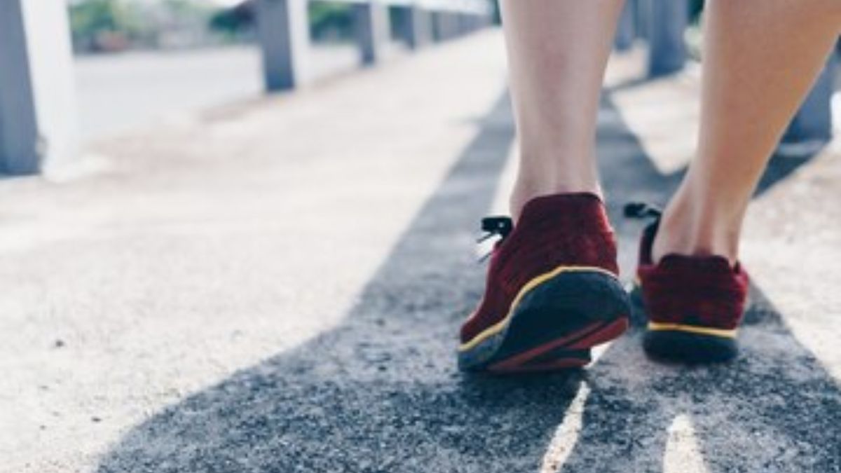 FitRaheIndia's tweet image. सुबह या फिर शाम.. किस समय Walking का मिलेगा अधिक लाभ

यहां पढ़ें पूरी खबर: fitraheindia.com/morning-vs-eve…

#HealthNews #HealthUpdate #Walking #FitRaheIndia