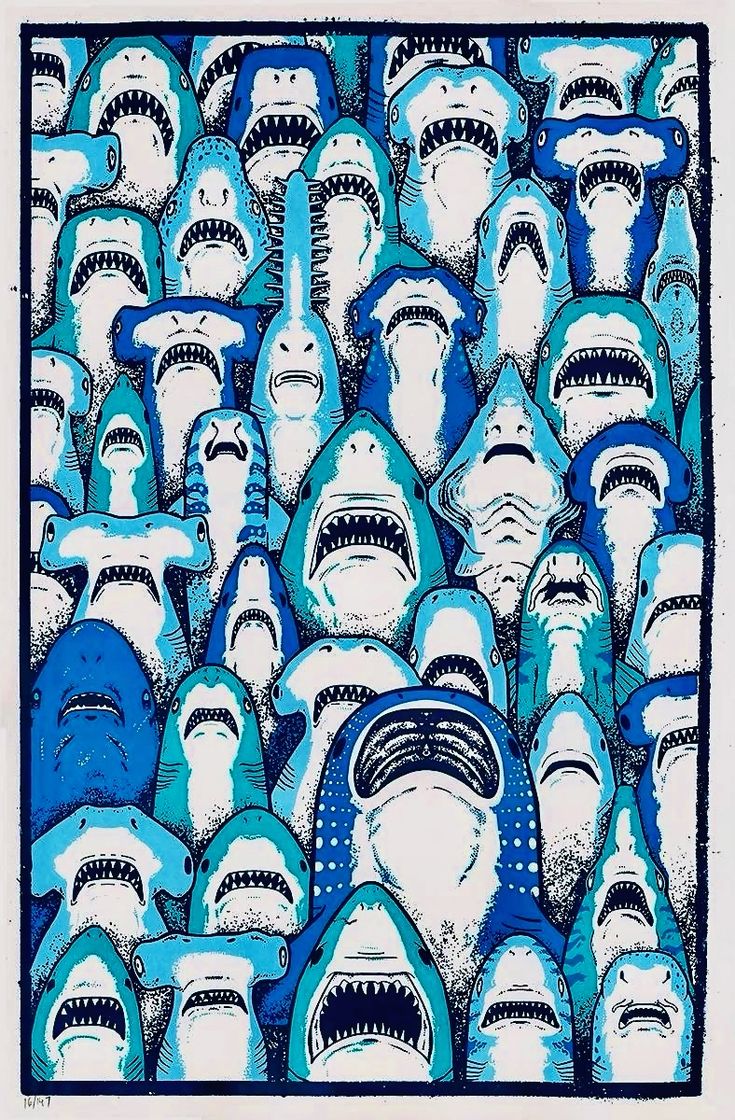 Blue Ocean tweet media