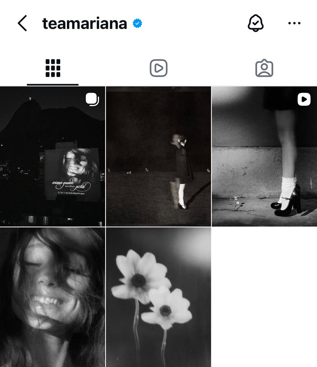 allegraꕤ tweet media