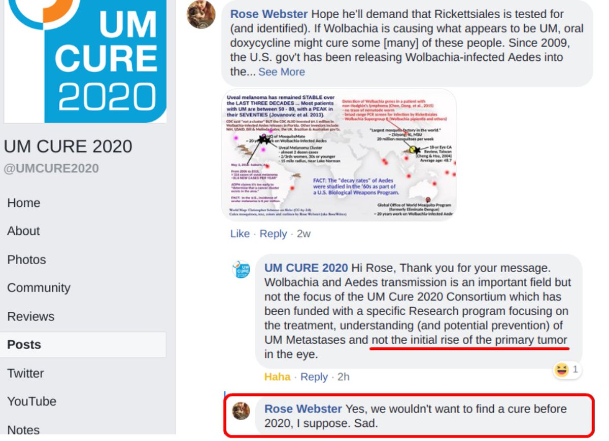 maggini_19's tweet image. Rose Webster @GetMyGist here ♀️🇨🇦. Dear .@DebiEvansMatron, I was a 90s #nursing #student, #Prosthetics 🎓(clinical @Sunnybrook), fmr .@JCAHPO COA at 4 🏥, ✍️few modules for .@OntPharmacists  etc. 

Short A:
💰became MORE important than #DoNoHarm #InformedConsent, Risk v Benefit.