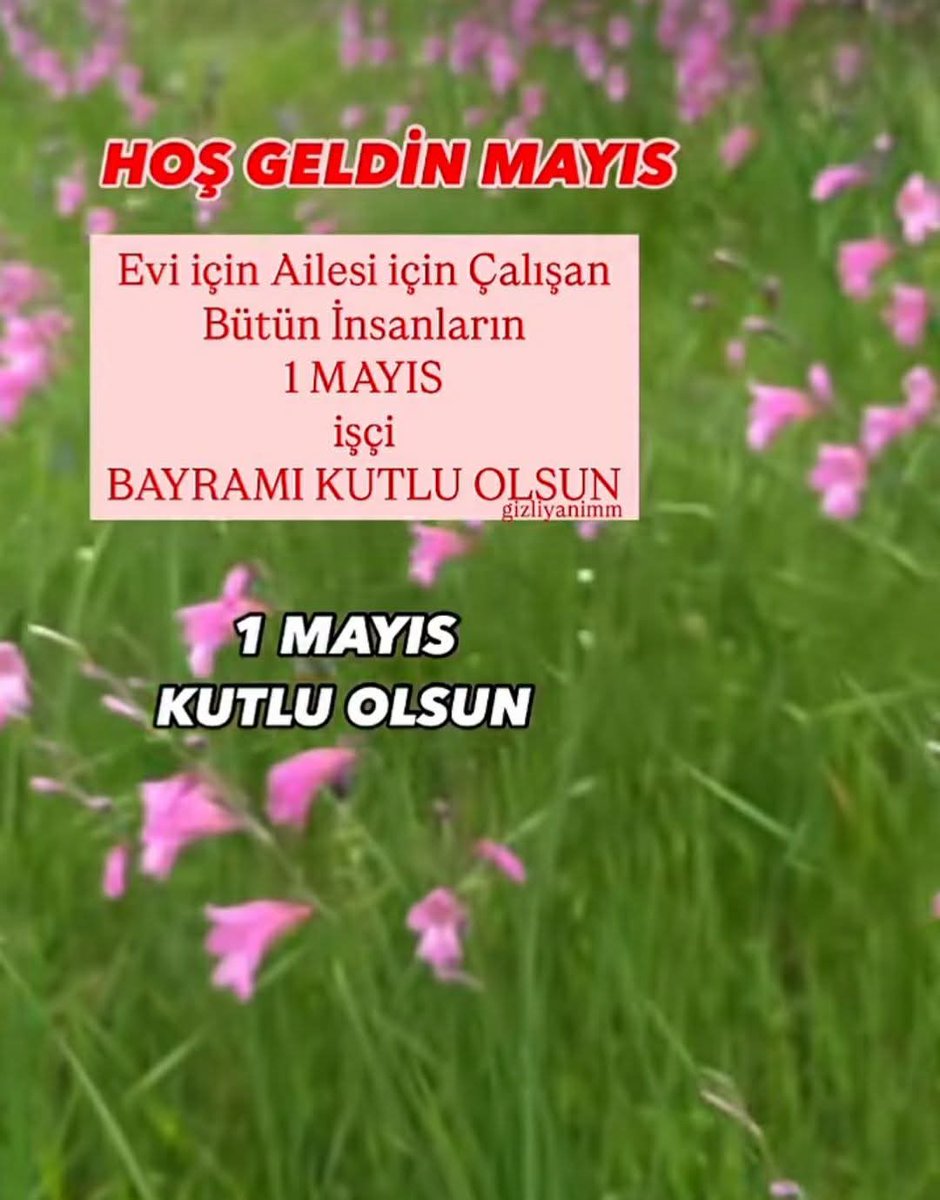 serap01gul's tweet photo. https://t.co/ZD5uVw00nf