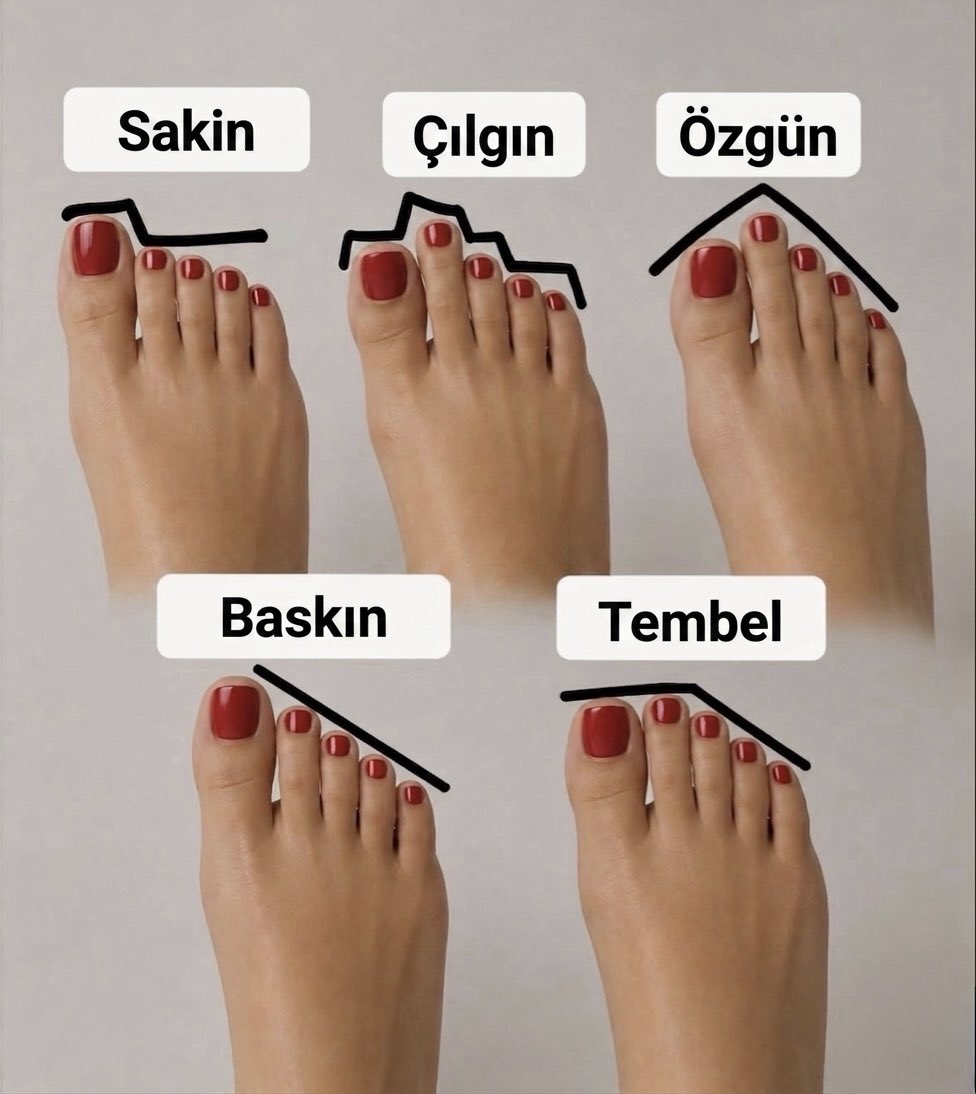 baldamlası tweet media