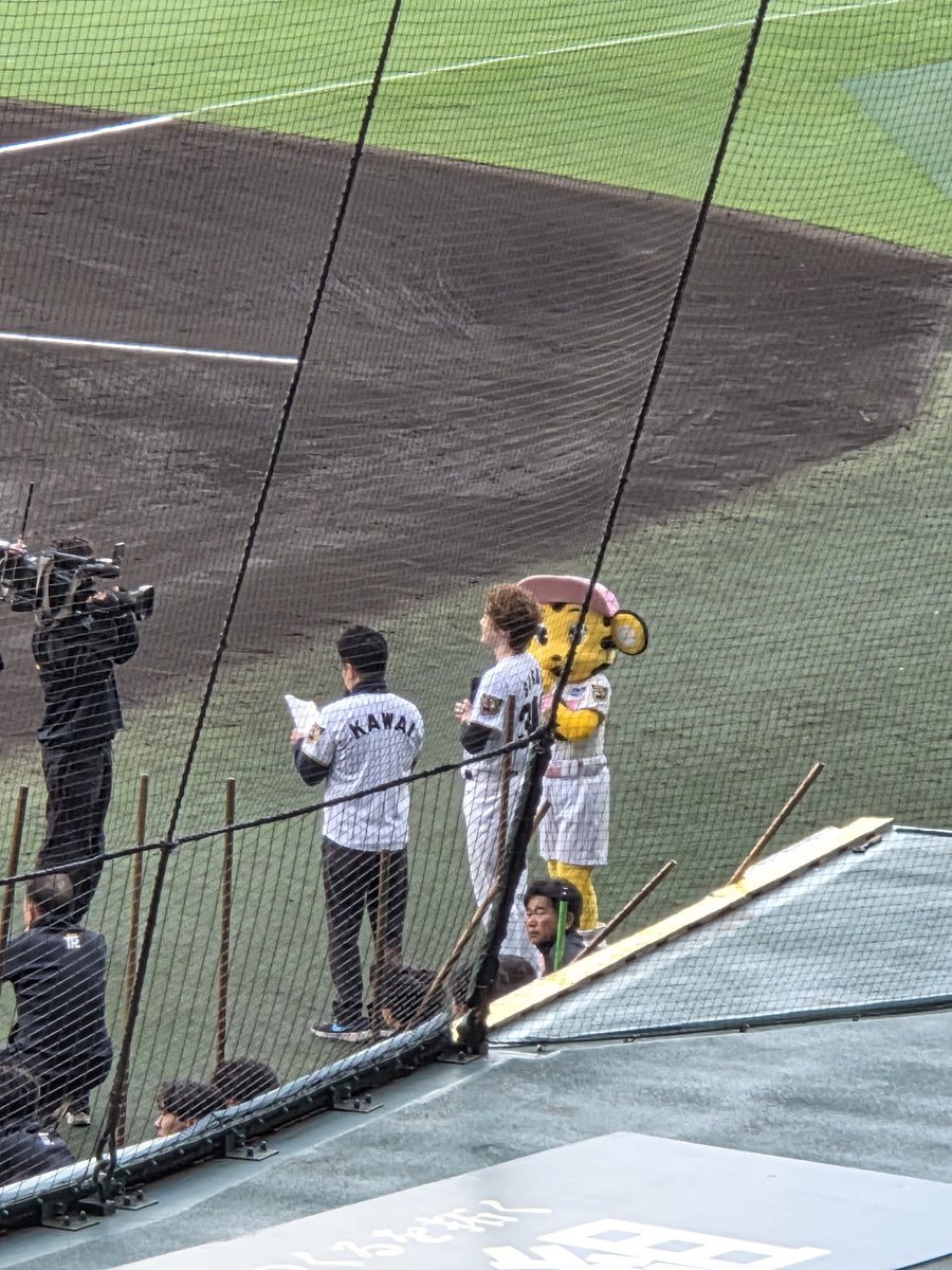 momo_kdm's tweet photo. シュガーさんのファーストピッチ

#佐藤隆紀 https://t.co/7sRaojQCxZ